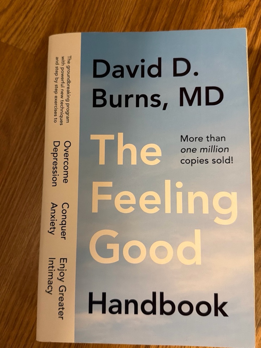 David D. Burns The Feeling Good Handbook — Light Blue Cover